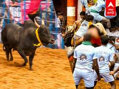 Jallikkattu 2022: டவுசரை கழற்றிய காளை! காற்றில் தூக்கி வீசப்பட்ட இளைஞர்!