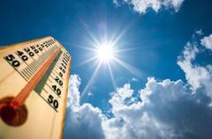 Warmest Year In India: প্রচন্ড গরমের রেকর্ড গড়ল ভারত, চরম আবহাওয়ায় প্রাণ হারিয়েছেন কয়েক হাজার