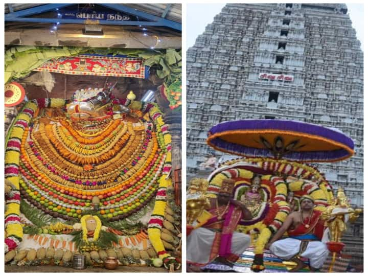 Annamalaiyar Temple Nandi special decoration with fruits, sweets and vegetables on the occasion of Maattupongal மாட்டுப்பொங்கலையொட்டி அண்ணாமலையார் கோயில் நந்திக்கு காய்கனிகளை கொண்டு சிறப்பு அலங்காரம்