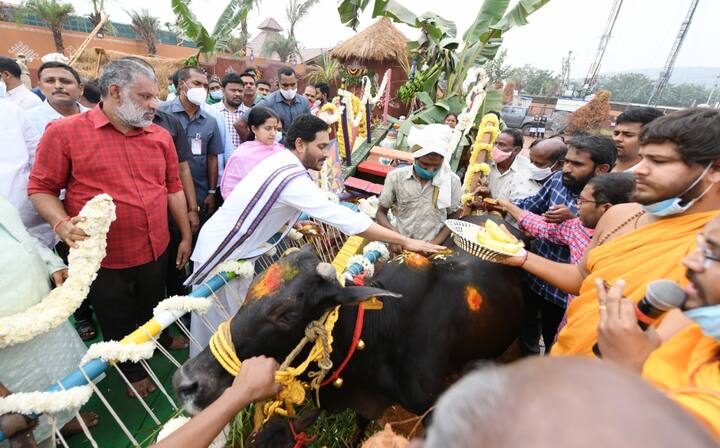 సంక్రాంతి సంబరాల్లో పాల్గొన్న సీఎం జగన్ దంపతులు