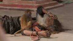 एक अकेला इस शहर में: वाराणसी में क्या कुछ बदला? देखिए चुनावी चकल्लस