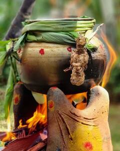 குடும்பத்துடன் பொங்கலை கொண்டாடிய பிரசன்னா - சினேகா தம்பதியினர்.. அட்டகாச புகைப்படங்கள்!