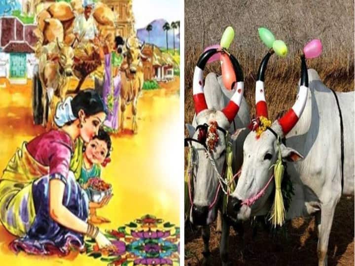Importance Of Kanuma Festival, Know In Details Kanuma Festival : కనుమ ప్రత్యేకత ఏంటి.. ఈ రోజు ప్రయాణం చేస్తే ఏమవుతుంది...