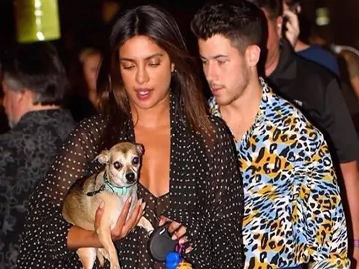 Priyanka Chopra and Nick Jonas hold hands கடற்கரையில் செல்லப் பிராணியுடன் எஞ்ஜாய் பண்ணும் பிரியங்கா சோப்ராவும் நிக் ஜோனாஸும்..