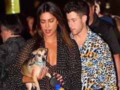 கடற்கரையில் செல்லப் பிராணியுடன் எஞ்ஜாய் பண்ணும் பிரியங்கா சோப்ராவும் நிக் ஜோனாஸும்..