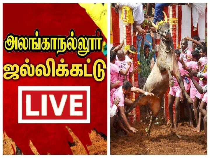 Alanganallur Jallikattu Live: ABP Nadu can be Telecast on YouTube and Facebook Alanganallur Jallikattu Live:  குலுங்கும் அலங்கை.. இது உலக பிரசித்தி பெற்ற ஜல்லிக்கட்டு... ABP நாடு நேரலை!