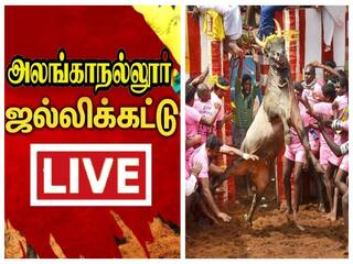 Alanganallur Jallikattu Live:  குலுங்கும் அலங்கை.. இது உலக பிரசித்தி பெற்ற ஜல்லிக்கட்டு... ABP நாடு நேரலை!
