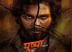 In Pics : अल्लू अर्जुनच्या 'पुष्पा'ची हिंदींतही कमाल