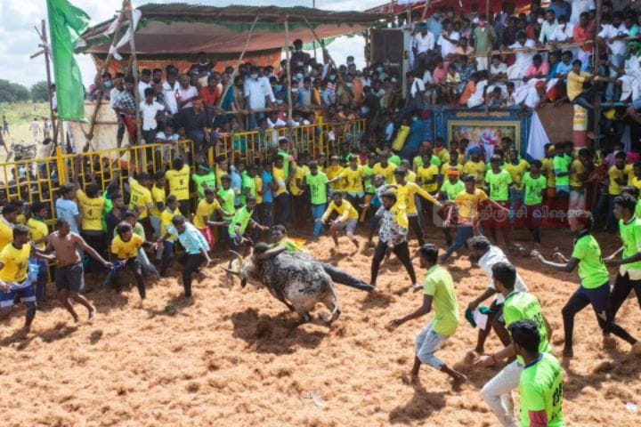 திருச்சி: ஜல்லிக்கட்டு போட்டியில் ஒருவர் உயிரிழப்பு.. 20-க்கும் மேற்பட்டோருக்கு காயம்..