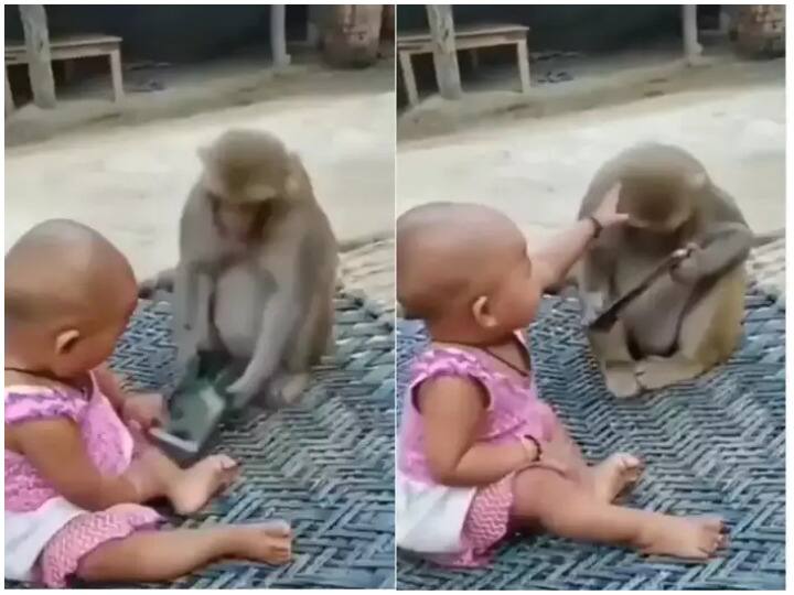 Baby girl and monky funny fight goes viral over social media baby and monkey trending video Watch: नन्ही सी बच्ची की चारपाई पर आ बैठा बंदर और छीन लिया फोन, फिर बच्ची ने जो किया देखकर नहीं रुकेगी हंसी