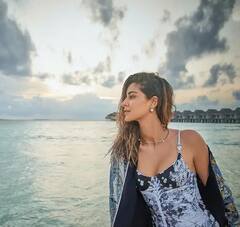 Ananya Panday: জলে পা, গাছে বাঁধা দোলনা, সমুদ্র উপভোগে মগ্ন অনন্যা