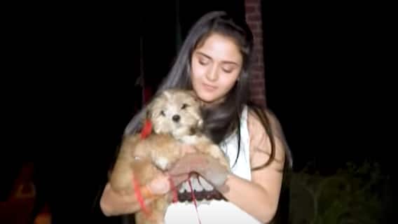 Pakhi shares her fun moments with dog on the sets of Anupamaa' | SBS Originals