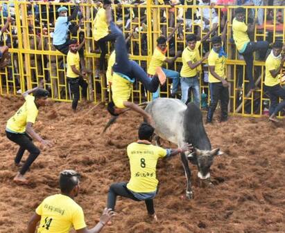 One killed in Jallikattu event in Trichy district திருச்சி: ஜல்லிக்கட்டு போட்டியில் ஒருவர் உயிரிழப்பு.. 20-க்கும் மேற்பட்டோருக்கு காயம்..
