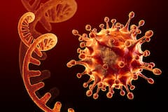 ਭਾਰਤ 'ਚ ਕੋਰੋਨਾ ਹੁੰਦਾ ਜਾ ਰਿਹੈ ਖ਼ਤਰਨਾਕ, 24 ਘੰਟਿਆਂ 'ਚ ਆਏ 2 ਲੱਖ 71 ਹਜ਼ਾਰ ਕੇਸ