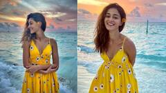 Ananya Panday: জলে পা, গাছে বাঁধা দোলনা, সমুদ্র উপভোগে মগ্ন অনন্যা