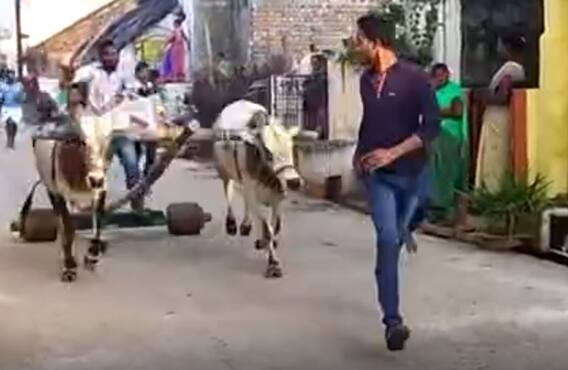 Ponduru Bull cart: శ్రీకాకుళం జిల్లా పొందూరు మండలంలో కోలాహలంగా కోడె బళ్ల పందేలు