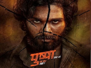 Allu Arjun Voice in Pushpa Hindi: बॉलीवुड के इस जाने माने एक्टर ने दी है अल्लू अर्जुन को आवाज़, क्या सुनकर आपने पहचाना?