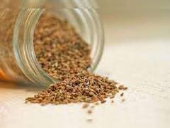 Weight Loss: બેલી ફેટથી છુટકારો મેળવવા ઇચ્છો છો, તો આ 4 વસ્તુનું કરો સેવન થશે ફાયદો