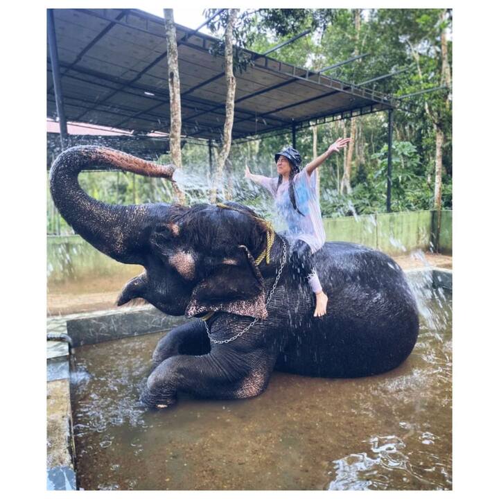 तेजस्विनीने नुकतेच काही फोटो सोशल मीडियावर शेअर केले आहेत. (Photo:@tejaswini_pandit/IG)