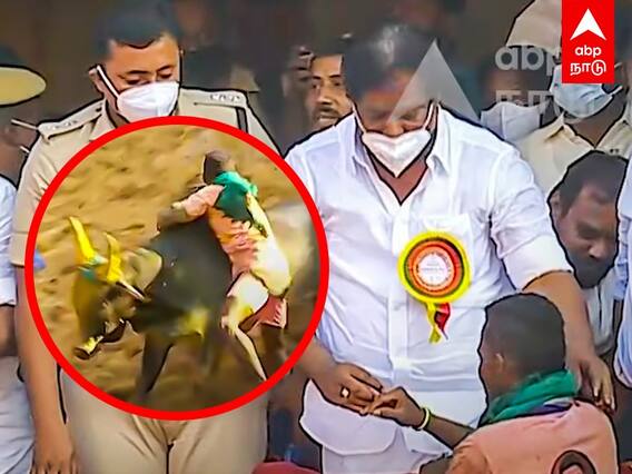 Alanganallur Jallikattu: அட்டகாசமாய் காளையை அடக்கிய இளைஞர்.. பாராட்டி மோதிரம் வழங்கிய அமைச்சர்