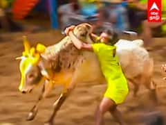 Alanganallur Jallikattu: தெறிக்கவிட்ட காளைகள்.. பாய்ந்து அடக்கிய காளையர்கள்