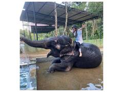 Tejaswini Pandit: मराठी अभिनेत्री तेजस्विनी पंडितची हत्ती सफारी!