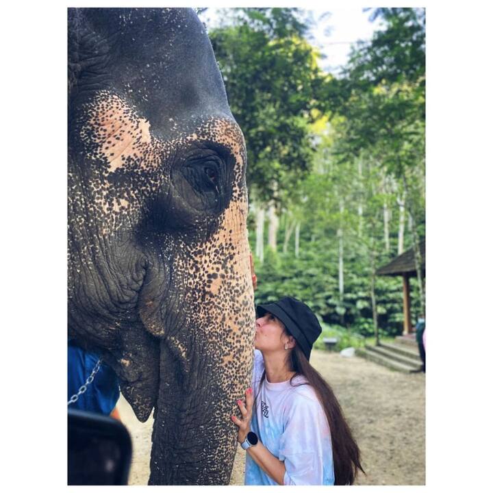 या फोटोंमध्ये ती हत्ती सोबत दिसतेय. (Photo:@tejaswini_pandit/IG)