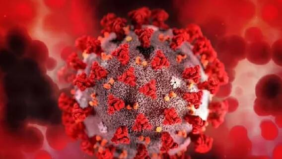 XE Variant in India: भारत में Corona के XE वैरिएंट की हुई पुष्टि, अधिकारियों ने कहा- चिंता की कोई बात नहीं XE Variant in India: भारत में Corona के XE वैरिएंट की हुई पुष्टि, अधिकारियों ने कहा- चिंता की कोई बात नहीं