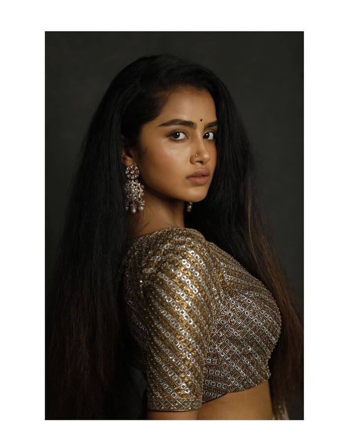 అనుపమా పరమేశ్వరన్ ఫోటోలు - Image credit: Anupama Parameswaran/Instagram