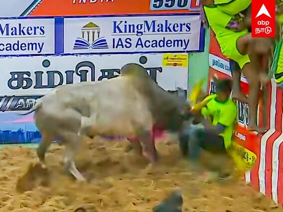 Alanganallur Jallikattu: புதுக்கோட்டை vs மதுரை..மதுரக்காரனுக்கு சவால் விட்ட காளை!