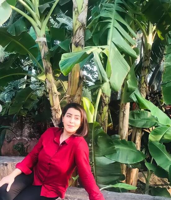 In the photos, Shilpa is sporting a short hairstyle while posing in a red shirt and black trousers. She captioned the pics as: