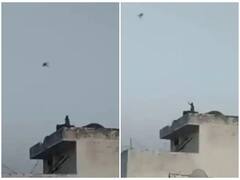 Watch: पतंगबाजी में बंदर ने लिया हिस्सा, छत पर चढ़कर यूं थामी हाथ में डोर