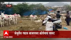 Jejuri : पौष पौर्णिमेला जेजुरीत दर वर्षी गाढवांचा बाजार लागतो पण यावर्षी हातावर मोजण्या इतकीच गाढवं