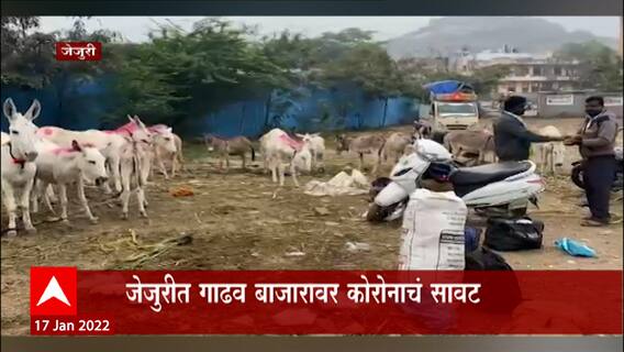 Jejuri : पौष पौर्णिमेला जेजुरीत दर वर्षी गाढवांचा बाजार लागतो पण यावर्षी हातावर मोजण्या इतकीच गाढवं