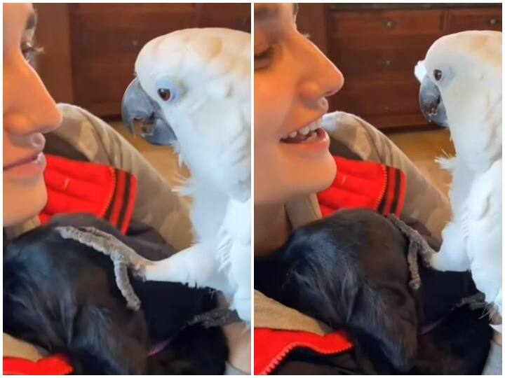 The parrot proposed to the mistress dog in a cute way and said I love you Watch: मालकिन के डॉगी पर आया तोते का दिल, क्यूट अंदाज में बोला- आई लव यू