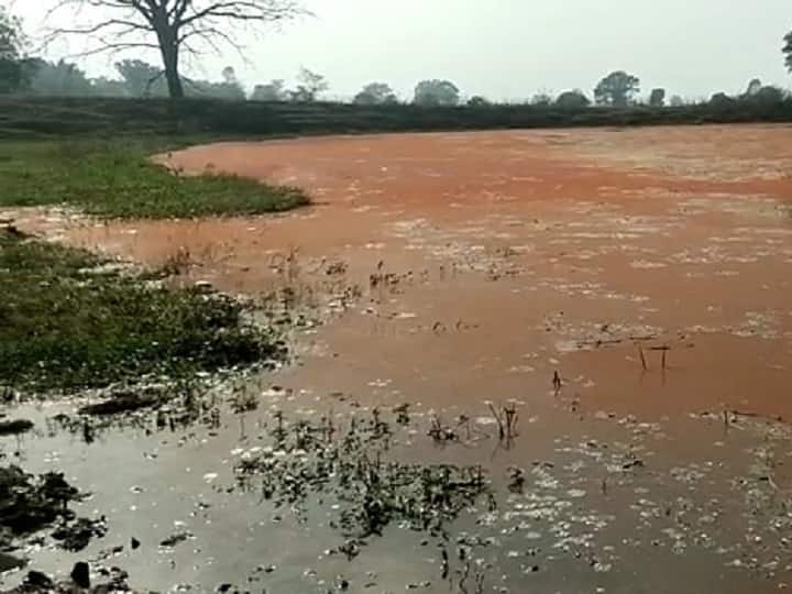Chhattisgarh: Pond In Surguja Changes Water Colour Every Evening And Morning, Attracts Tourists Chhattisgarh: Pond In Surguja Changes Water Colour Every Evening And Morning, Attracts Tourists Chhattisgarh: Pond In Surguja Changes Water Colour Every Evening And Morning, Attracts Tourists