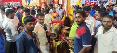 jallikattu 2022 : அலங்காநல்லூர் ஜல்லிக்கட்டு... போட்டிக்கு தயாரான காளைகள்!