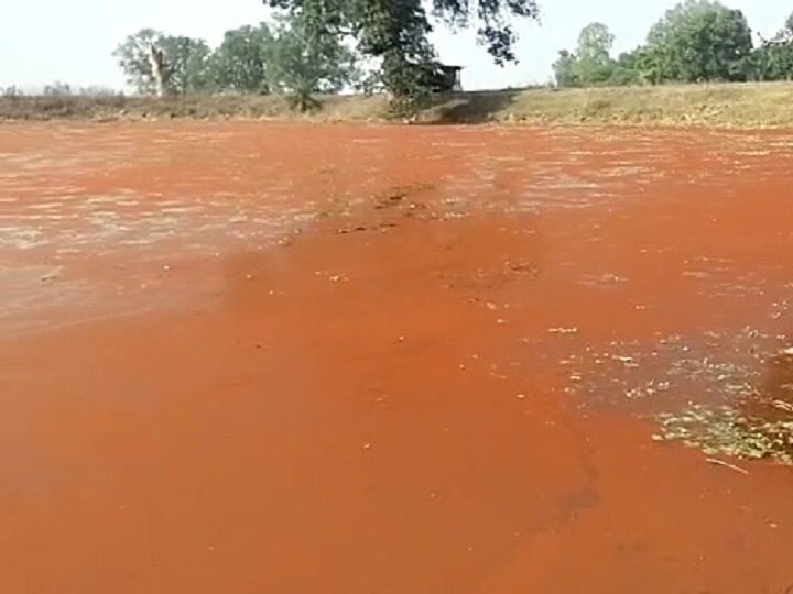 Chhattisgarh: Pond In Surguja Changes Water Colour Every Evening And Morning, Attracts Tourists