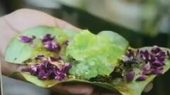 जिन्हें कम भूख लगती है, उन्हें पान खाना चाहिए; मिलेंगे ढेर सारे फायदे