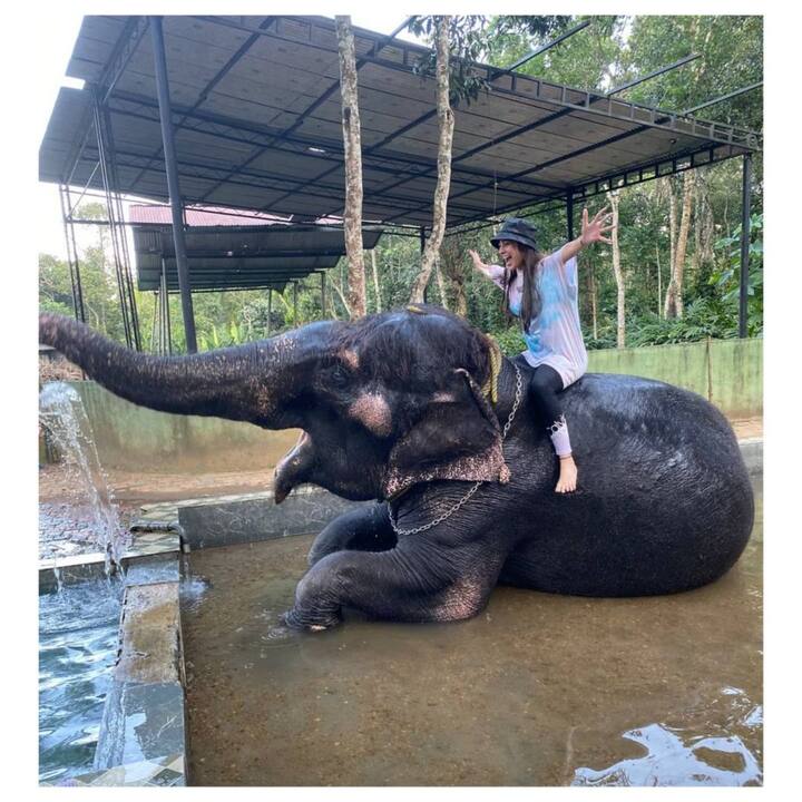 हत्तीसोबत धमाल करतानाचे तिचे फोटो सोशल मीडियावर व्हायरल झालेत. (Photo:@tejaswini_pandit/IG)