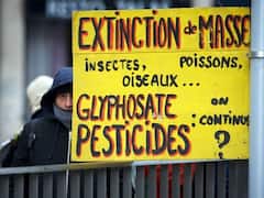 Earth Facing Sixth Mass Extinction Crisis, And It's Caused By Humans This Time: Scientists