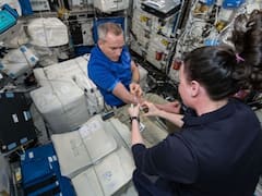 Space Travel Hits Astronauts' Red Blood Cells Hard. New Study Explains How