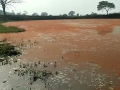 Chhattisgarh News: छत्तीसगढ़ के सरगुजा का यह तालाब बदल रहा है पानी का रंग, जानें क्या इसकी सच्चाई