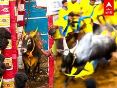 Alanganallur Jallikattu : உஷாரய்யா உஷாரு.. பொடி போடாதீங்க.. டெல்லி கமிட்டி வந்துருக்கு!
