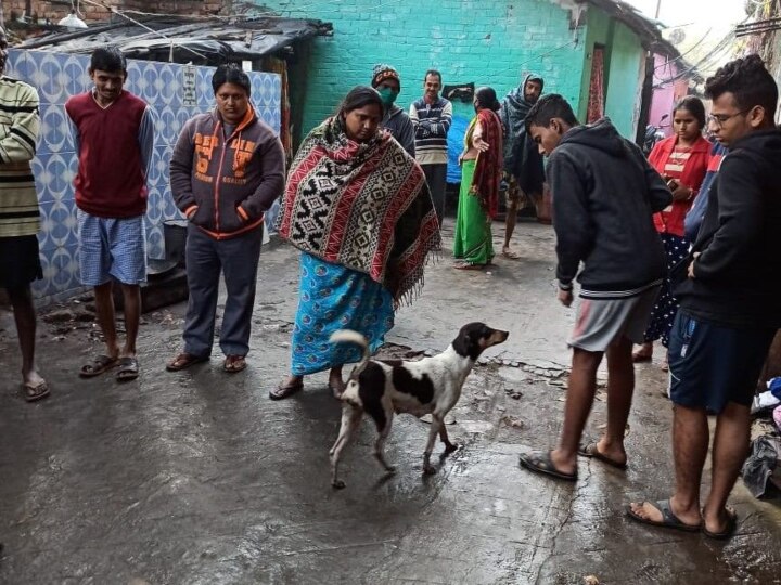 தீயில் கருகிய 7 நாய் குட்டிகளை தேடும் தாய் நாய் - கண் கலங்க செய்யும் புகைப்படங்கள்..!