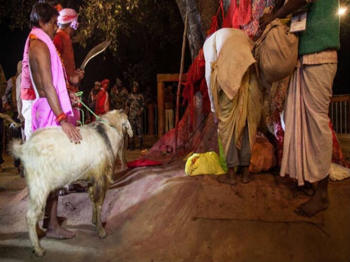 Andhra Pradesh: போதை! பலி கொடுக்கும் நேர்த்திக்கடனில் ஆட்டுக்கு பதிலாக ஆடு பிடித்திருந்தவர் தலை துண்டிப்பு!