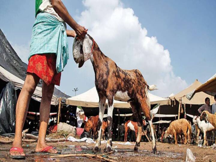 Instead of goat, drunk man cuts neck of another man குடிபோதையால் ஆட்டுக்கு பதிலாக ஆளை வெட்டிய கொடூரம் : ஆந்திராவில் அதிர்ச்சி..