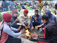 Weather Update: Cold Wave To Sweep North India In Next Two Days, Rainfall Expected This Week