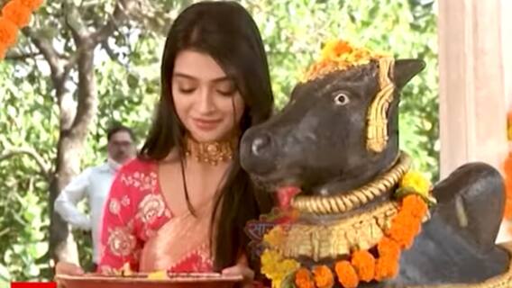 Rang Jau Tere Rang Mein: Dhani in trouble!