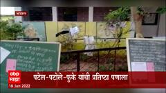 Bhandara Gondia जिल्हा परिषदेच्या 23 आणि पंचायत समितीच्या 45 जागांसाठीही मतदान ABP Majha